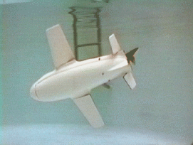 ORCA R/C aquaplane